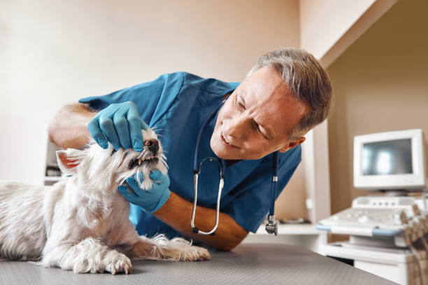 Best Emergency Tooth Extraction in Fremont, IN
